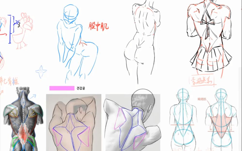 客户端画师在哪原画师软件有哪些